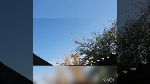 Ловля щеглов. Метис. смотреть онлайн