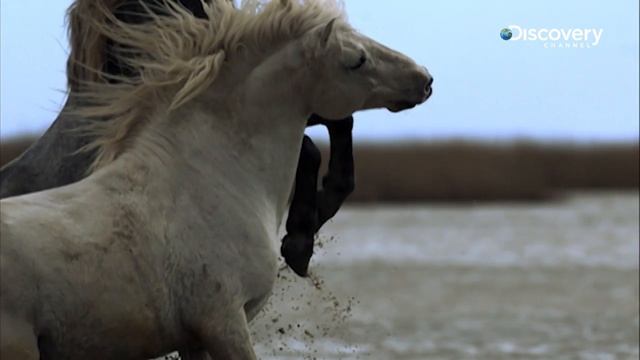 How We Invented The World： The Benz смотреть онлайн