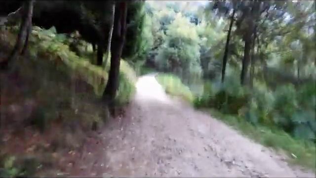 Test NEW SALSA CUTTHROAT 2016 смотреть онлайн