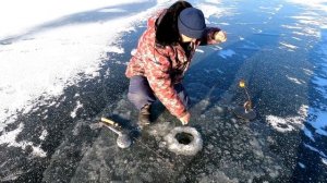 Степные щуки! зима 2024.