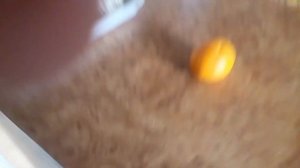 обзор на мандарин под дабстеп