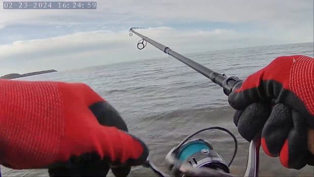 ловля лосося с берега Балтийское море смотреть онлайн