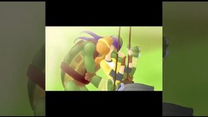 Эйприл и Донни (черепашки ниндзя)