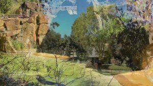 Куда поехать с детьми ? Берлинский зоопарк прекрасное место для отдыха #путешествия #туризм #отдых