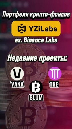 Криптопортфель YziLabs (ex. Binance Labs) 
#криптовалюта #трейдинг #инвестиции #биткойн