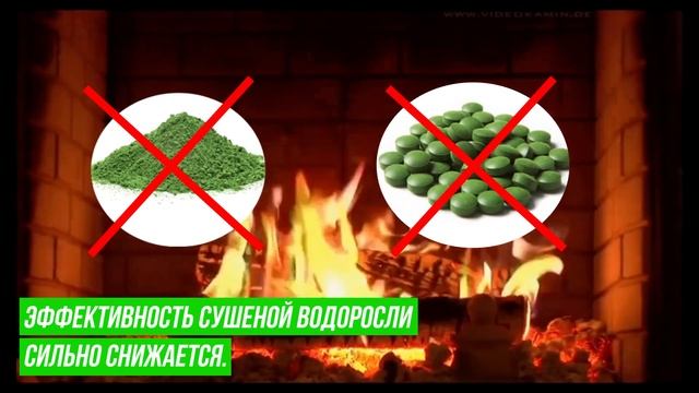 Что такое хлорелла? Как правильно её выбрать? Имеет ли хлорелла полезные свойства для организма?
