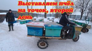 ВЫСТАВКА ПЧЁЛ ИЗ ЗИМОВНИКОВ, ВТОРОЙ ДЕНЬ ЗАВЕРШАЮЩИЙ