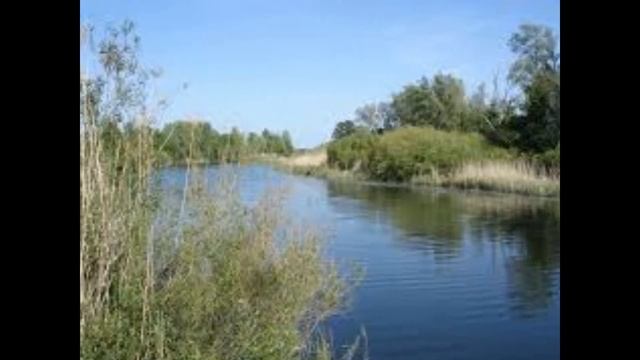 Чистые пруды смотреть онлайн