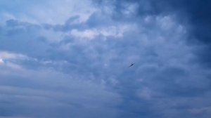 Модель самолета Пе-8 1500 Для Антона / ALNADO