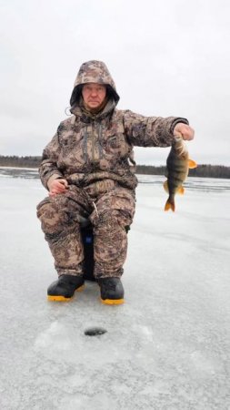 Достойный улов 🎣