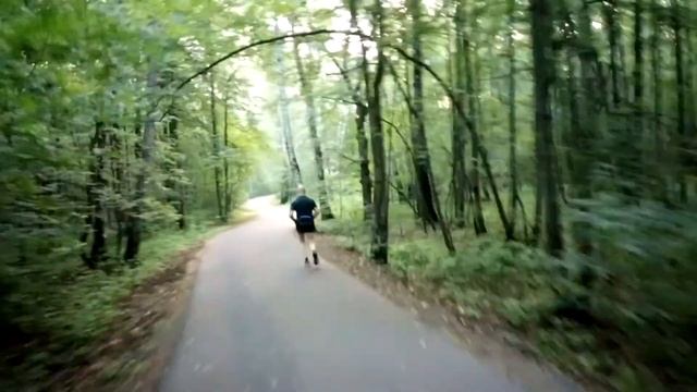 Битцевский лес тур 2 смотреть онлайн