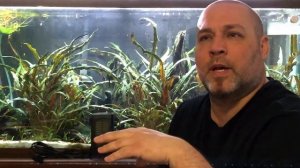 Product Review: Fluval U1/ Eheim PreFilter