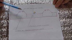 Морковь. Мои советы на практике.