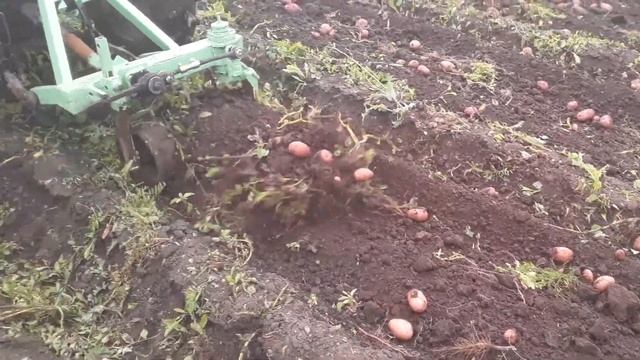 Картофелекопалка