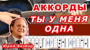 ТЫ У МЕНЯ ОДНА Аккорды 🎸 ЮРИЙ ВИЗБОР ♪ Разбор песни на гитаре без баррэ ♫ Для начинающих