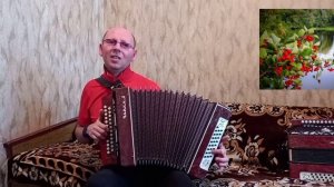 "Ой,калина,ой малина".(Кавер-версия).Гармонь.