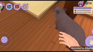 ухаживаю за капибарами в игре My Pets Capybaras (1часть)