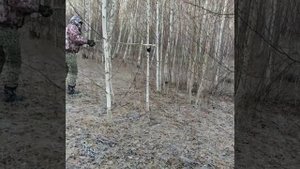 Самый мощный пугач!