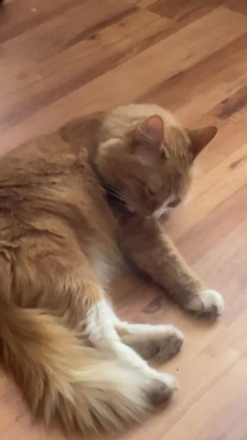 Умывается 0’0 смотреть онлайн