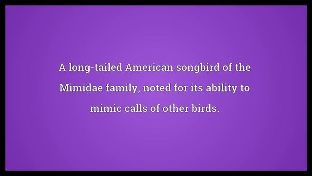 Mockingbird Meaning смотреть онлайн