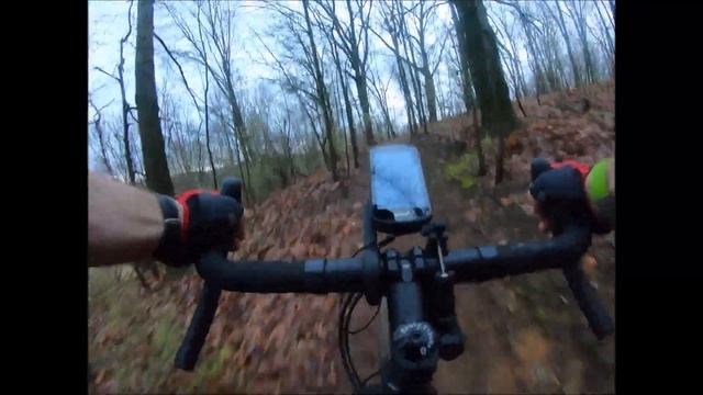 Salsa Fargo 2021