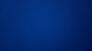 Как правильно поить муравьев?!?