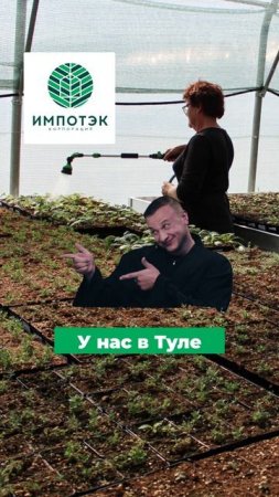 Промышленные теплицы из Тулы