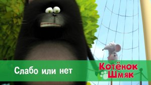Котенок Шмяк, 1 сезон 26 серия. Слабо или нет