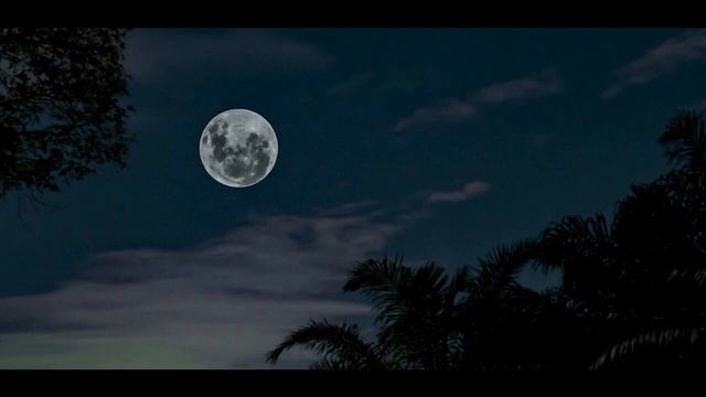 Музыка для сна, звуки природы смотреть онлайн