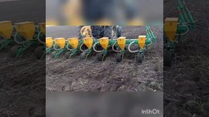 Внесение ЖКУ совместно с севом подсолнечника пропашной сеялкой МС-8