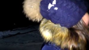 КАК Ангелина с ПАПОЙ Забрали ХАСКИ Домой. Видео для детей