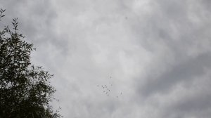 Будапештские высоколётные