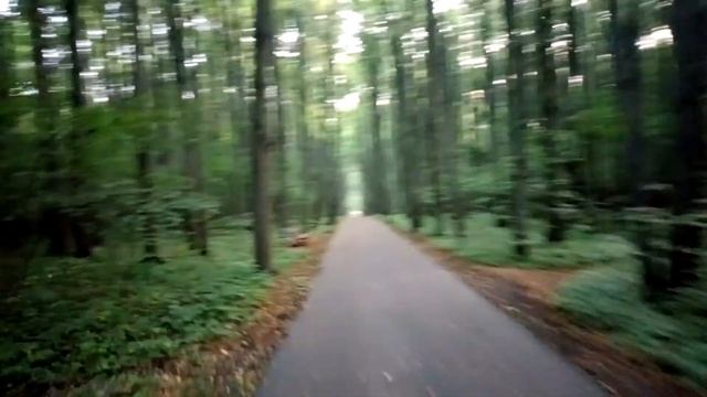 Сумашедший спуск в лесу смотреть онлайн