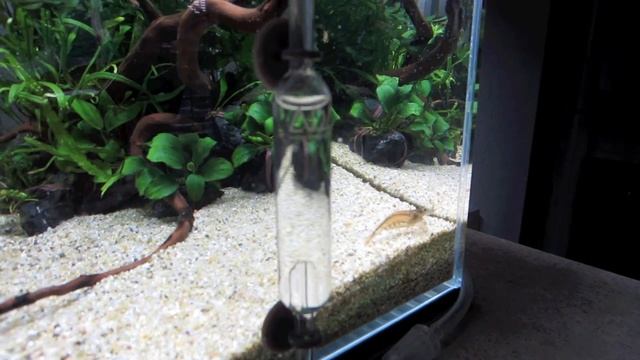 ADA mini S (PART 1) смотреть онлайн