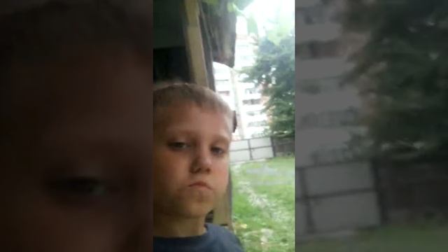 Рассказываю о доме ио собаке смотреть онлайн