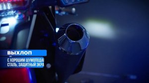 Мотоцикл Avantis LX 300 NB (ZS177MM) ПТС