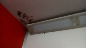 Электрический лифт (КМЗ-1969, модер. под МЭЛ-1995) г. Москва, Берингов проезд, 4, п-1 (13.05.2017)