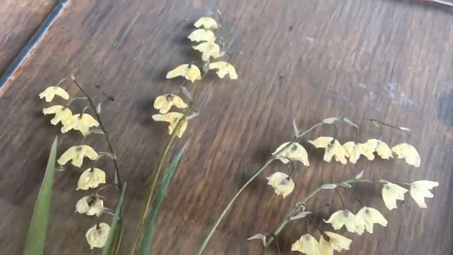 Ландыши в прямоугольнике 15х21см смотреть онлайн