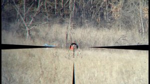 Vortex Strike Eagle 1-8x24 FFP. Небольшой обзор и чуть отработал гонг 🎯. #vortex #оружие #gun