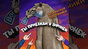 Ты приезжай в Воронеж !