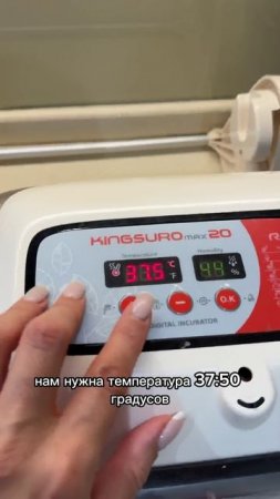 Что-то я по птенцам соскучилась!