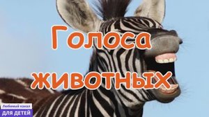 Мультики для детей - Мультики про животных - Изучаем животных (16) Голоса животных