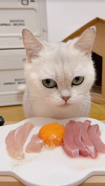 #food #foodlover #youtubeshorts #fastfood #music #like #comment #asmr #cat #cats #mukbang смотреть онлайн