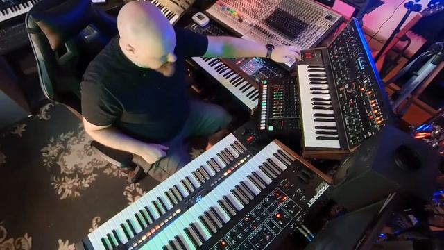 Elevator Fall Live Jelly (PolyBrute, Prophet Rev 2, Pro-3, Tr8-S, Juno-X, Modwave)