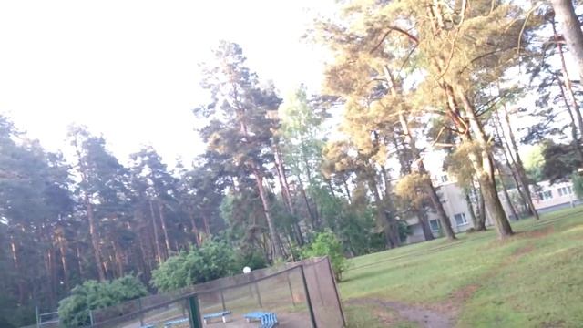 Музыка леса смотреть онлайн