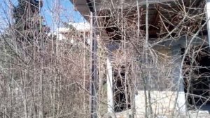 Торговые ряды гостиницы "Таврида": когда же наведут порядок в историческом центре Ялты?