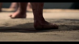 Дельфин : вопросы (версия 2).