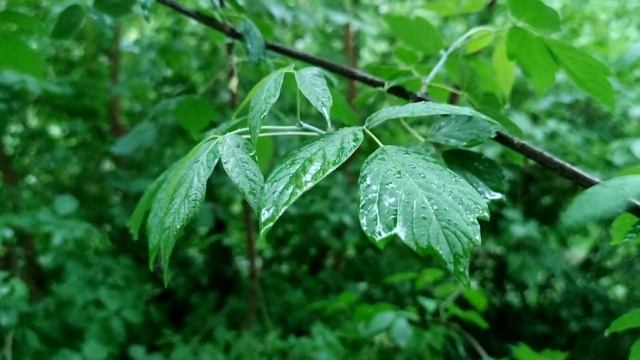 ГРОЗА смотреть онлайн