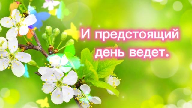 Доброго весеннего утра! Хорошего дня!