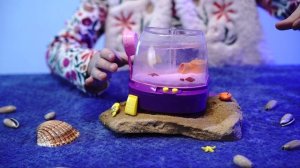 Игрушка "Аквариум" с рыбками и подсветкой | FIX PRICE